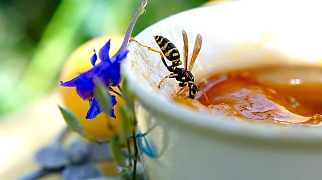 Use This Spicy Scent To Help Deter Wasps From Your Yard