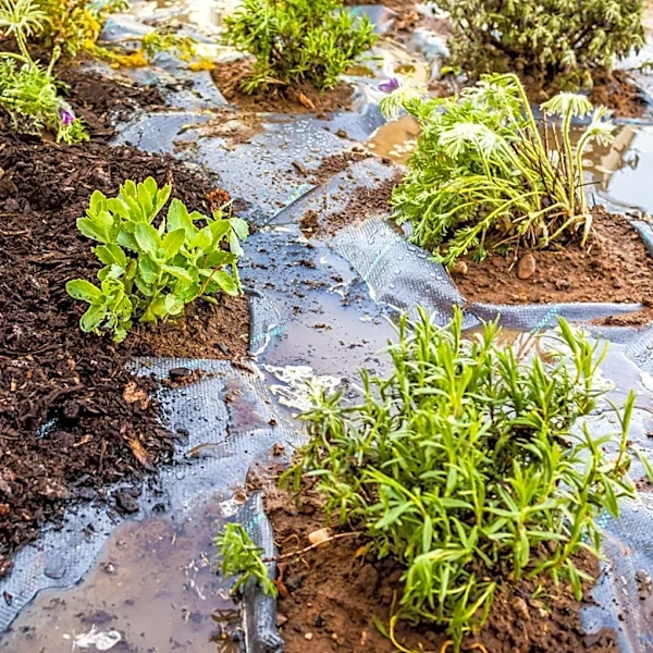 What Is The Average Lifespan Of Landscape Fabric?