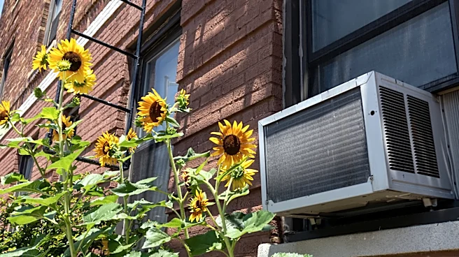Window Air-Conditioner Brands To Avoid, Based On Data From Consumer Reports
