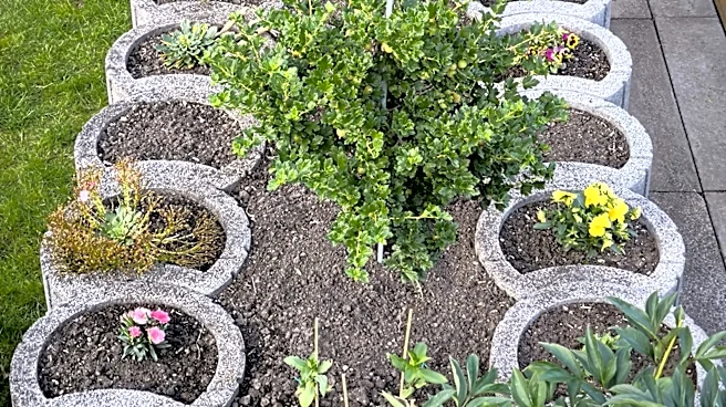 Use A Functional, Cheap Material To Mold Concrete For Planters