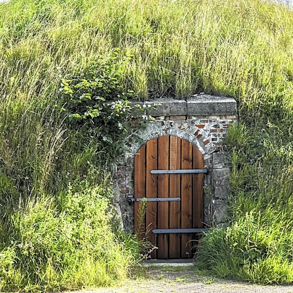 Underground Homes Are Rising In Popularity: What Are The Benefits?