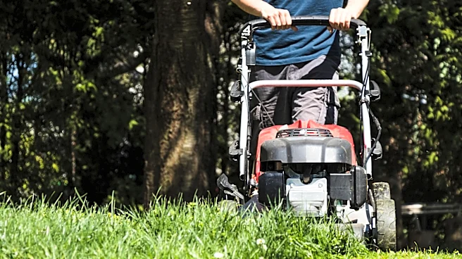 Lawn Mower Blades: When To Sharpen Vs When To Replace