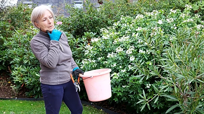 The Fragrant, Old-Fashioned Shrub Gardeners Rarely Grow Anymore