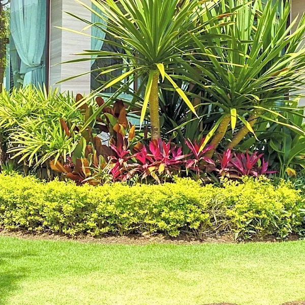 The Best Way To Keep Your Lawn From Turning Brown During A Heatwave