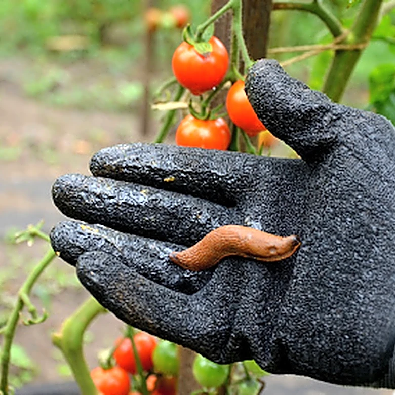 Leave Harsh Chemicals Behind: There's An Organic Amazon Find That Kills Slugs And Snails