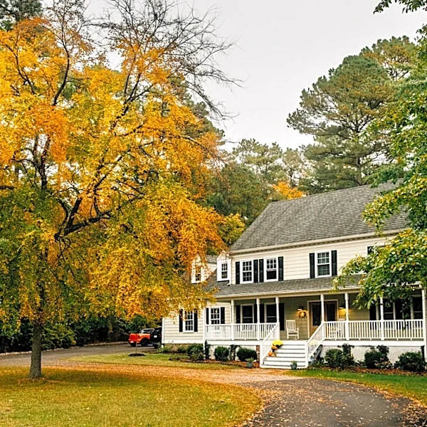 Skip The Renovations: There's Another Way To Add Value To Your Home
