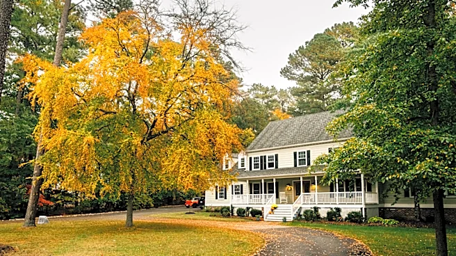 Skip The Renovations: There's Another Way To Add Value To Your Home