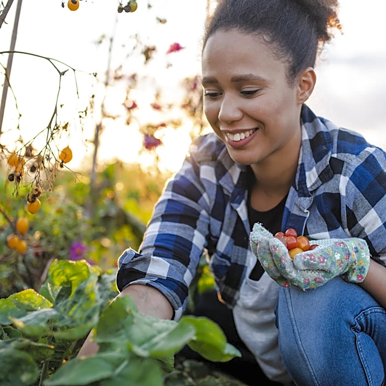 Start A Vegetable Garden Quickly With Easy-To-Assemble Beds
