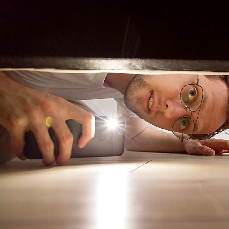 How To Identify Cockroach Eggs In Your Home