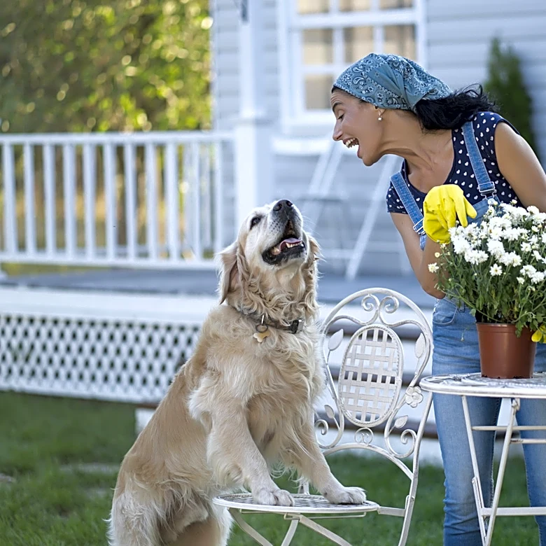 Think Twice Before Planting This Pest Deterrent If You Have Pets
