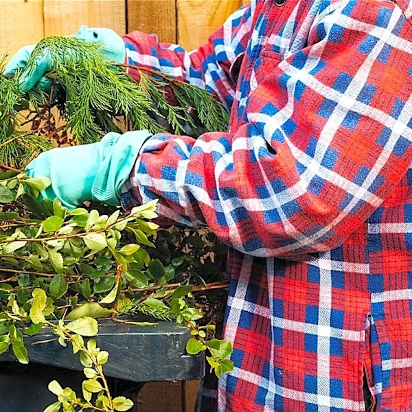 The Versatile Fabric To Avoid Big Messes In Your Garden