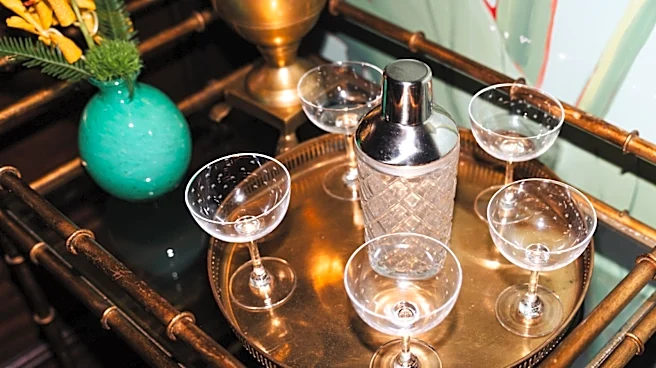 Ditch Basic Bar Accessories: The Valuable Antique We Want In Our Homes