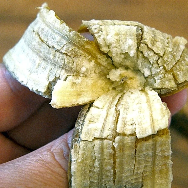 Start Mulching With Banana Peels And Watch Your Plants Flourish