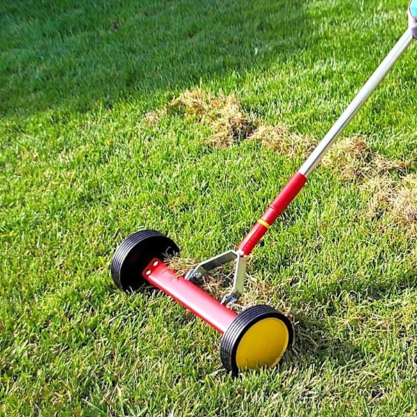 How Often Should You Dethatch Your Lawn?