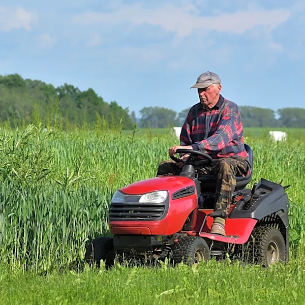 The Lawn Mower Task To Do In August To Keep It Running Smoothly