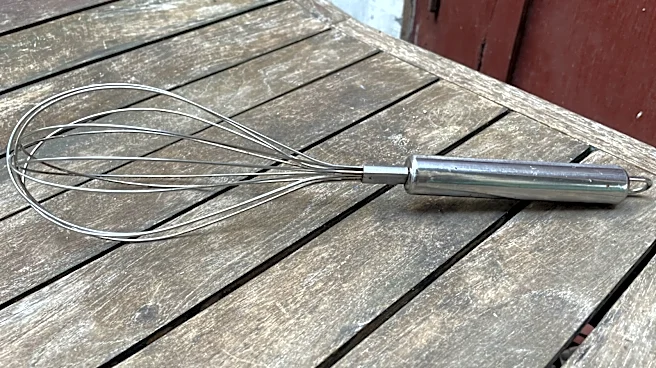 Turn An Old Kitchen Whisk Into The Cutest Backyard Dragonfly Decor
