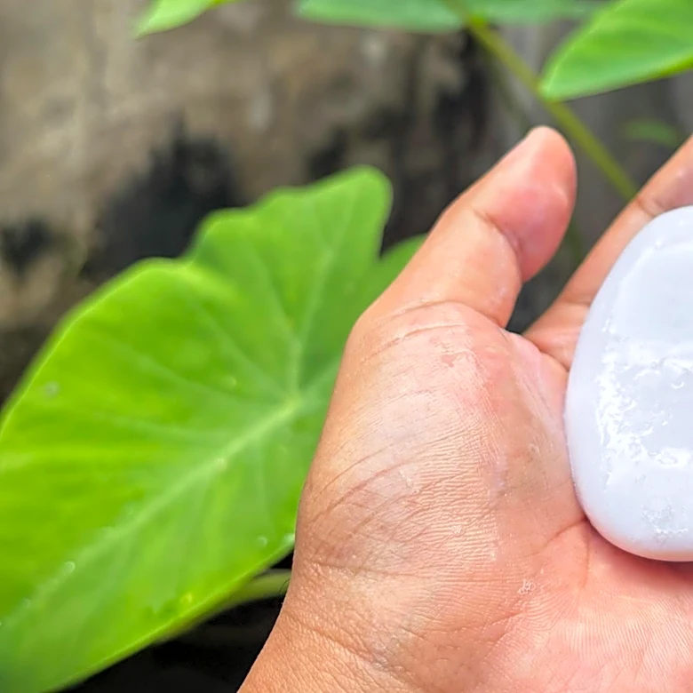 Why Do Gardeners Put A Bar Of Soap Near Tomato Plants — And Should You Try It?