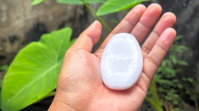 Why Do Gardeners Put A Bar Of Soap Near Tomato Plants — And Should You Try It?