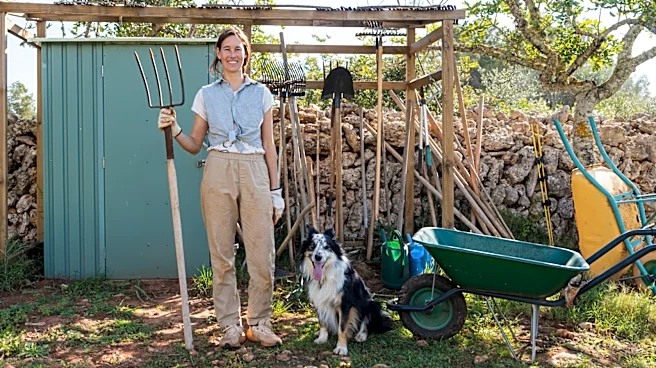 Goodbye, Messy Garden Tools: The Easy DIY For A Cheaper Outdoor Storage Solution