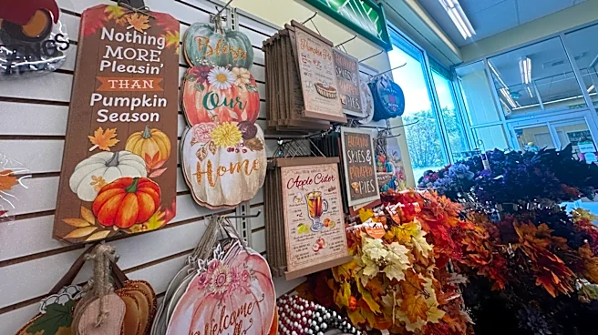 10 Exciting New Dollar Tree Kitchen Finds In August That Are Under $5
