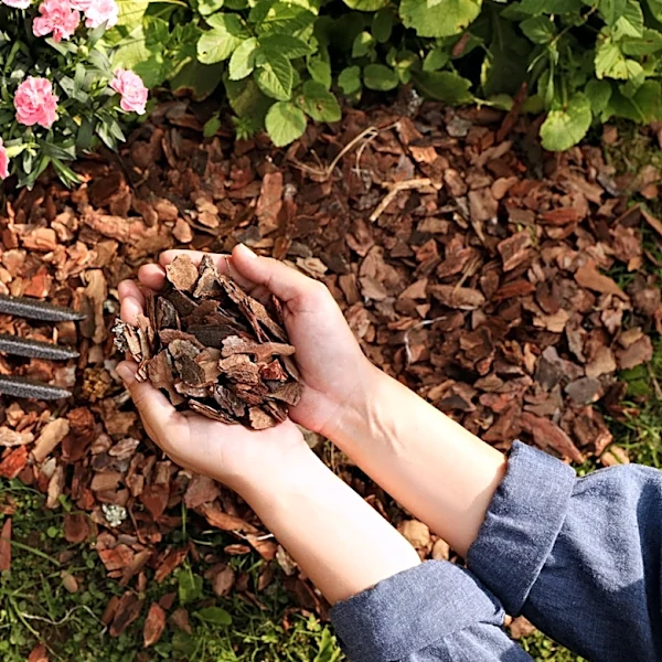 This Quick Maintenance Step Keeps Mulch Looking 10x Fresher Year-Round