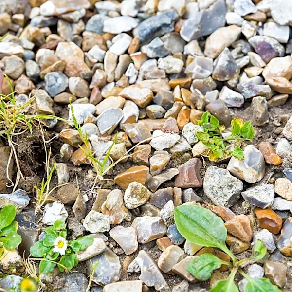 Not Hand Pulling: There's A Way To Remove Weeds From Gravel Driveways All At Once