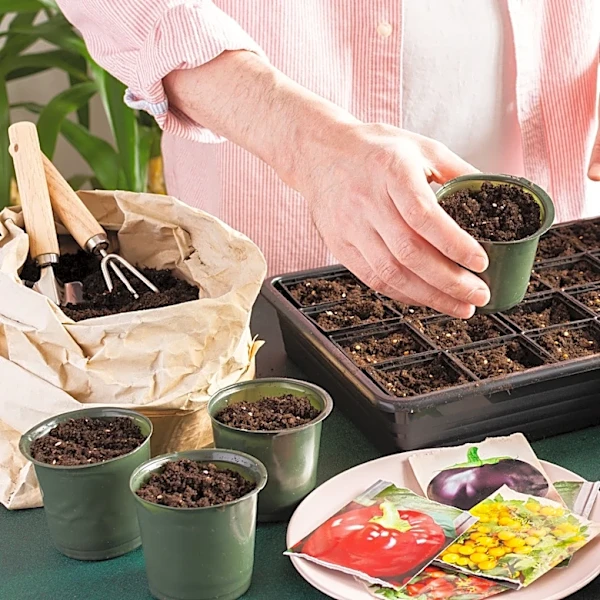 Why You Should Avoid Using Garden Soil For Seed Starting