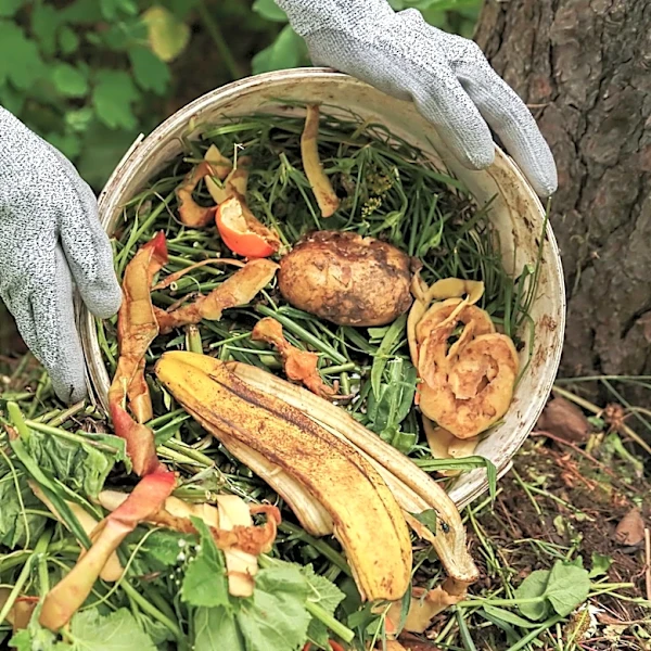 Not Banana Peels: The Other Fruit Scrap You Should Consider Adding To Compost