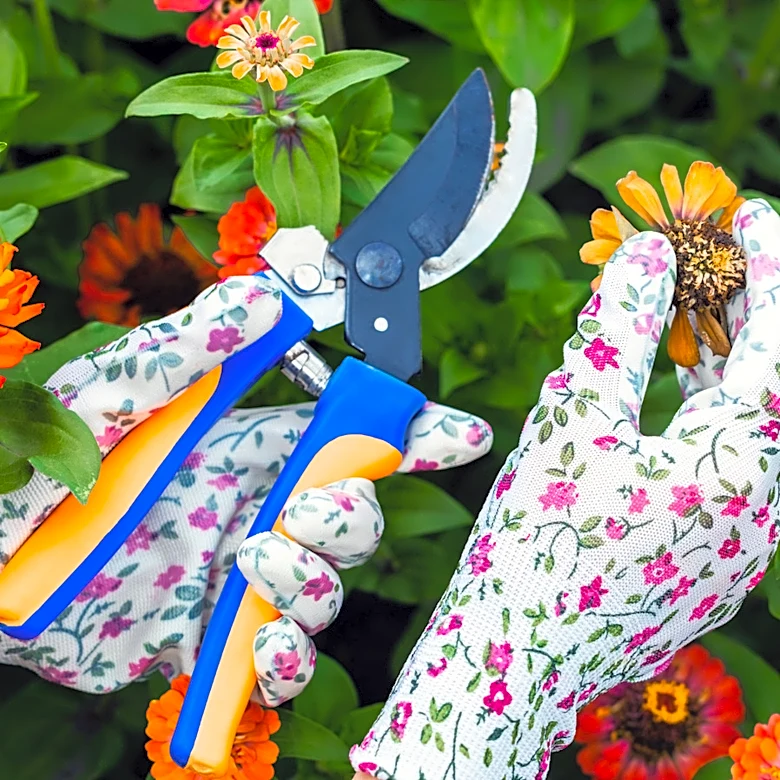 18 Plants To Deadhead In August For A Fall Garden Full Of Extra Blooms