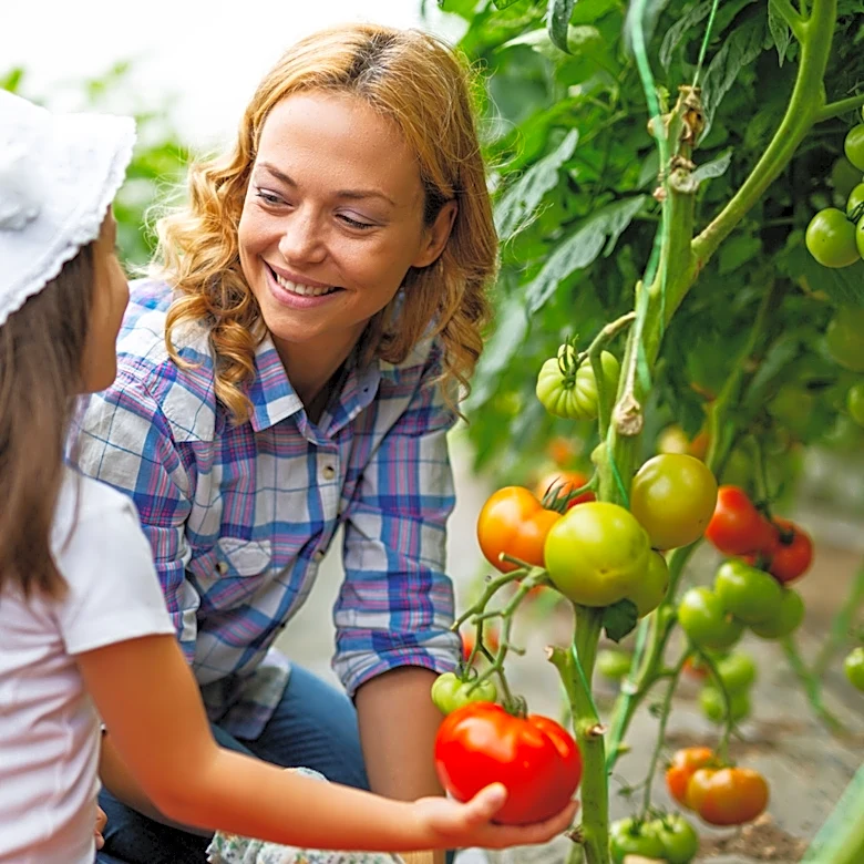 Enjoy Produce Sooner: The Household Waste Item You Can Use To Ripen It Faster