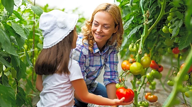 Enjoy Produce Sooner: The Household Waste Item You Can Use To Ripen It Faster