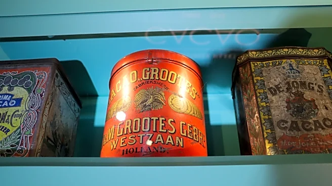 Ditch Plastic Bins: 14 Thrift Store Finds That Tackle Clutter