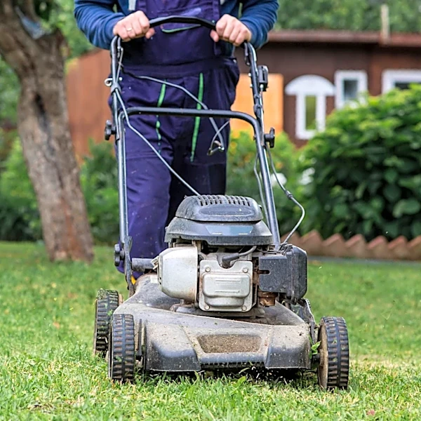 Swap Your Lawnmower Blades For An Easy Way To Dethatch Your Yard