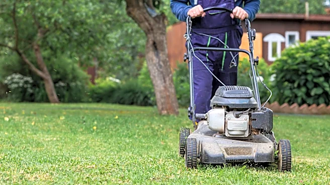 Swap Your Lawnmower Blades For An Easy Way To Dethatch Your Yard