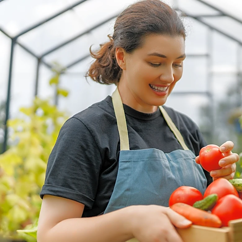 The Best Type Of Tomato Fertilizer To Use To Help Them Grow Stronger