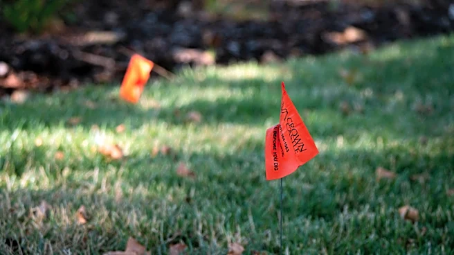 What Does An Orange Utility Flag Mean?