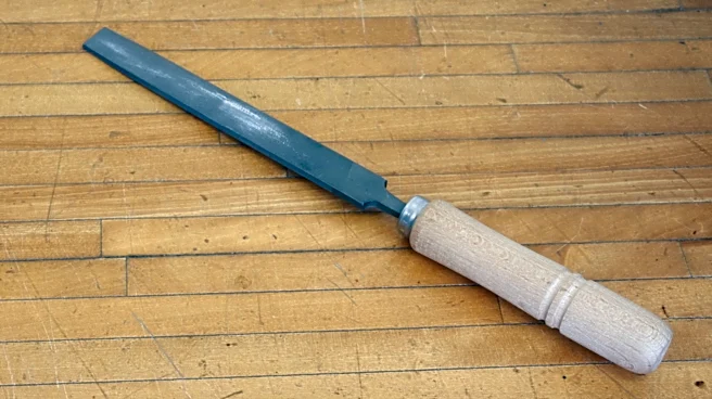 Ditch Metal Files: This Amazon Find Has Everything You Need To Sharpen Your Knives