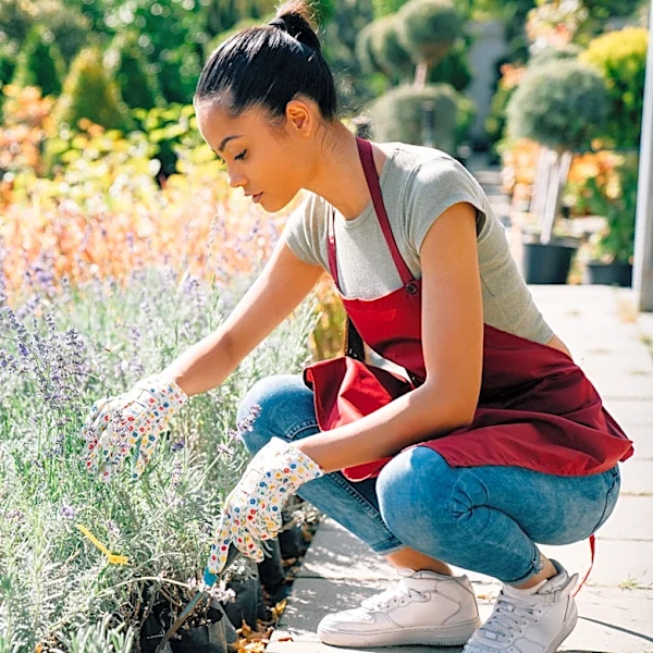 The Fragrant, Yellow-Blooming Shrub That's Just As Drought Tolerant As Lavender And Sage
