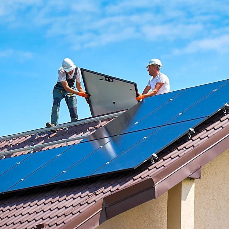 Do Solar Panels Kill Birds?