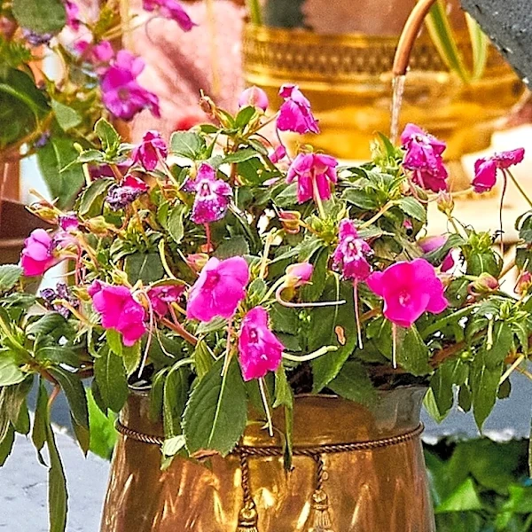 Plastic Isn't The Only Option –– How Copper Planters Are An Eco-Friendly Choice