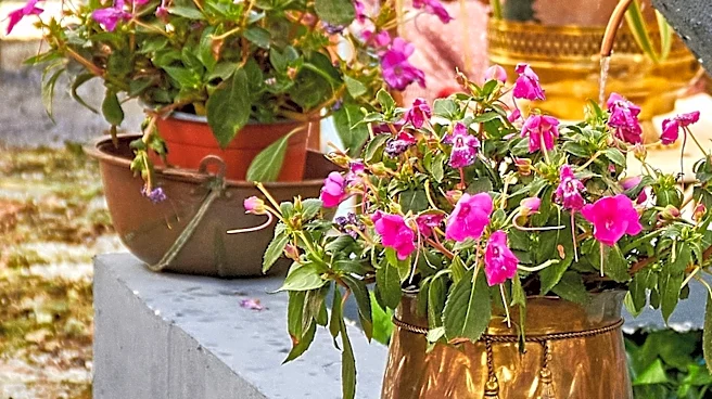 Plastic Isn't The Only Option –– How Copper Planters Are An Eco-Friendly Choice