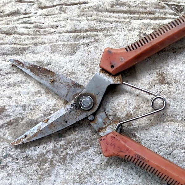 Sharpen Garden Tools Quickly With A Lawn Mower Staple