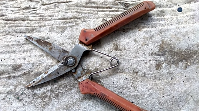 Sharpen Garden Tools Quickly With A Lawn Mower Staple