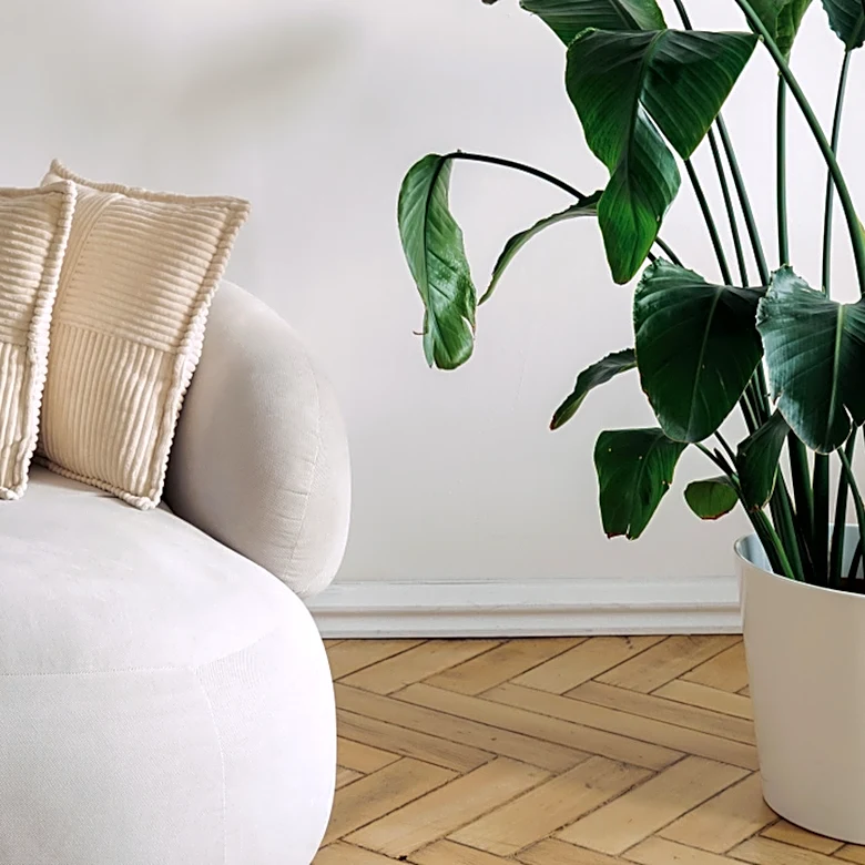 They Were Big In The '80s — Now It's A Waiting Room Essential We'd Be Thrilled To Find