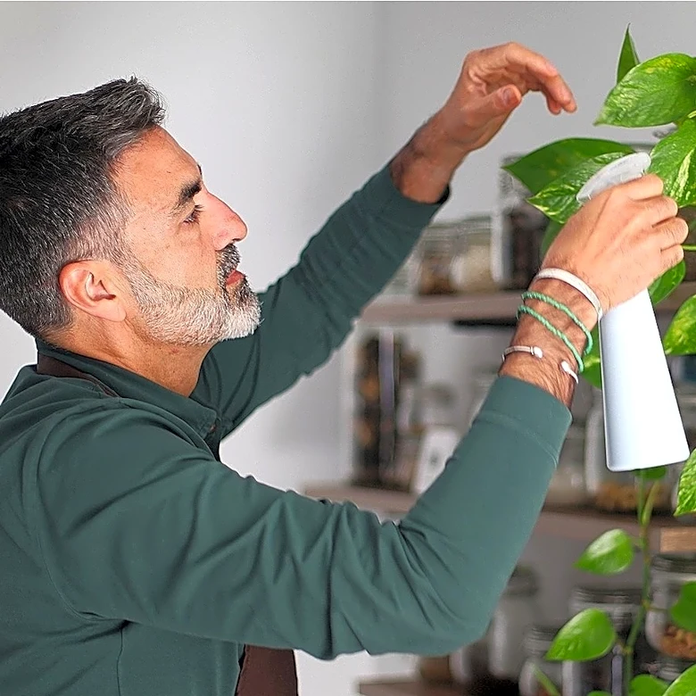 Climbing Vs Hanging: How To Decide How To Grow Your Pothos Plant
