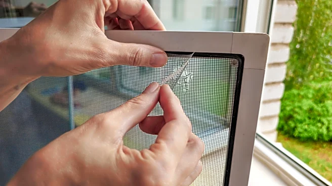 Don't Waste Time Fixing Window Screens – This Hardware Store Connects You With A Pro