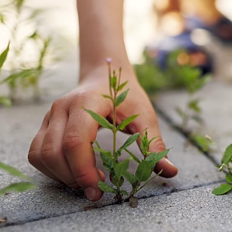 Easier Than Hand Pulling: The Amazon Tool Set That Makes Removing Weeds Simple