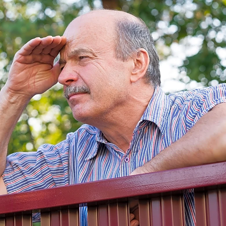 What Is The Cheapest Privacy Fence Option?