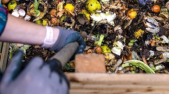 Not Toilet Paper Rolls: The Fragrant Bathroom Staple To Add To Your Compost