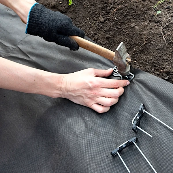 Skip Traditional Landscape Fabric: Recycle Something You Already Own
